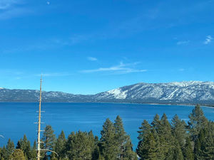 Meet your Posher, Hazel